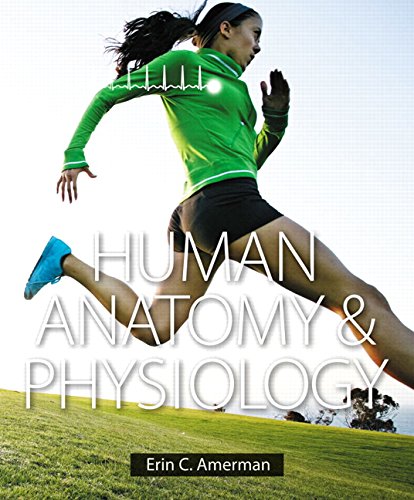 Human Anatomy & Physiology-Erin C. Amerman