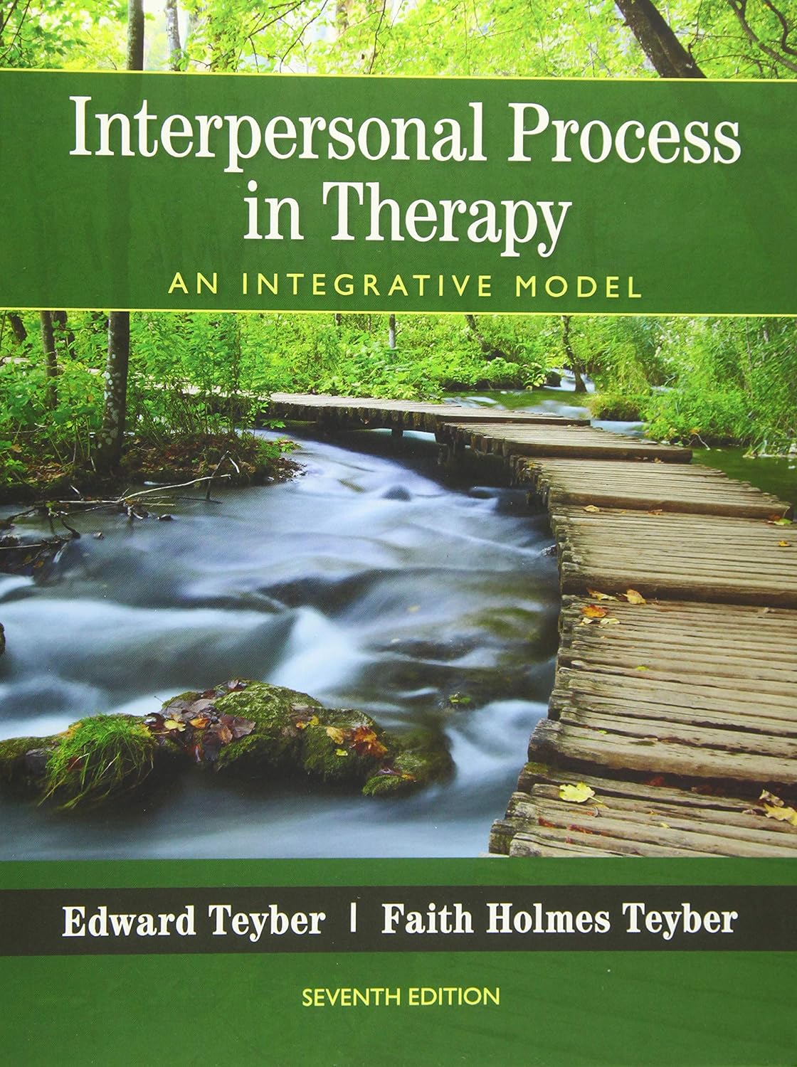 Interpersonal Process in Therapy An Integrative Model 7th Edition