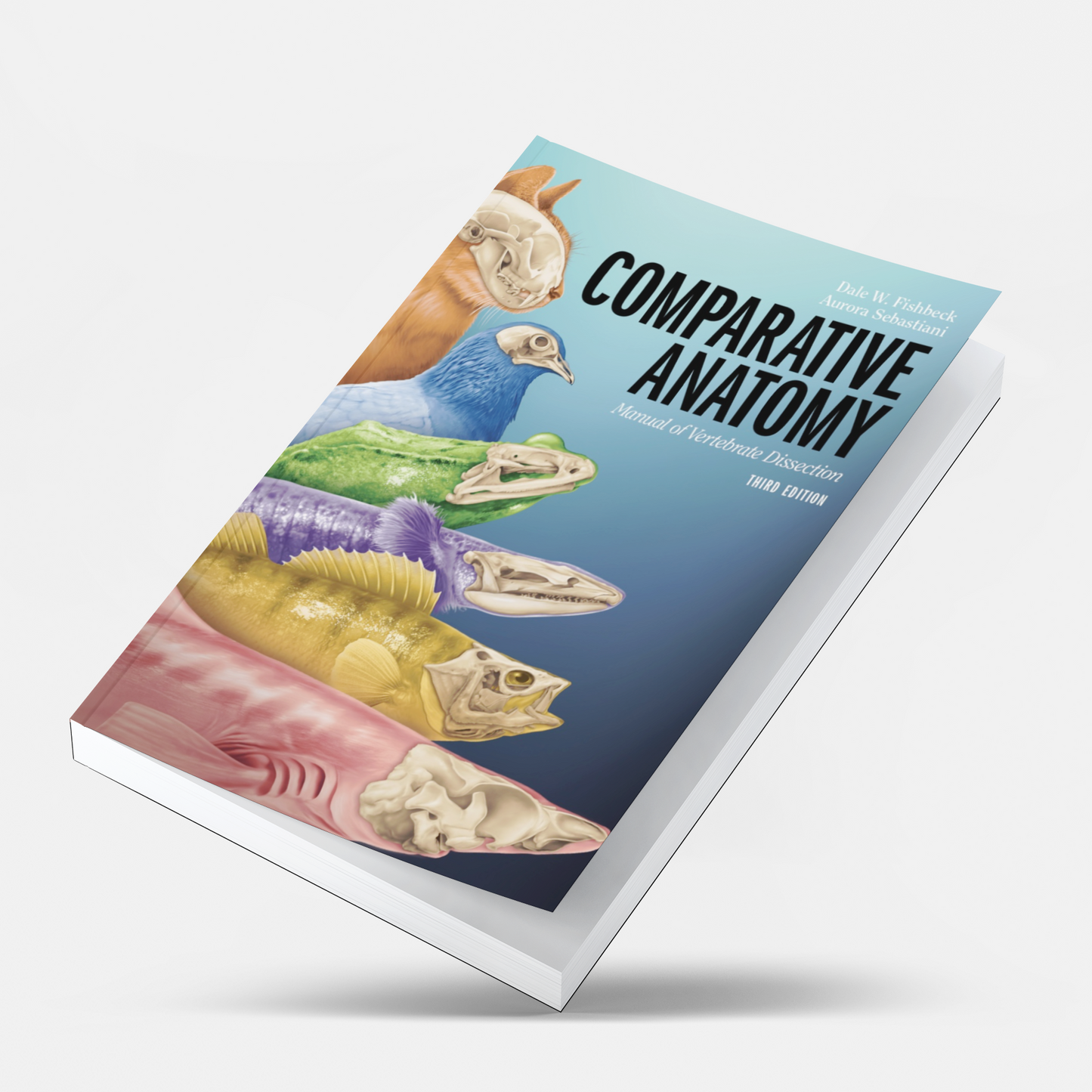 Comparative Anatomy: Manual of Vertebrate Dissection 3rd Edition