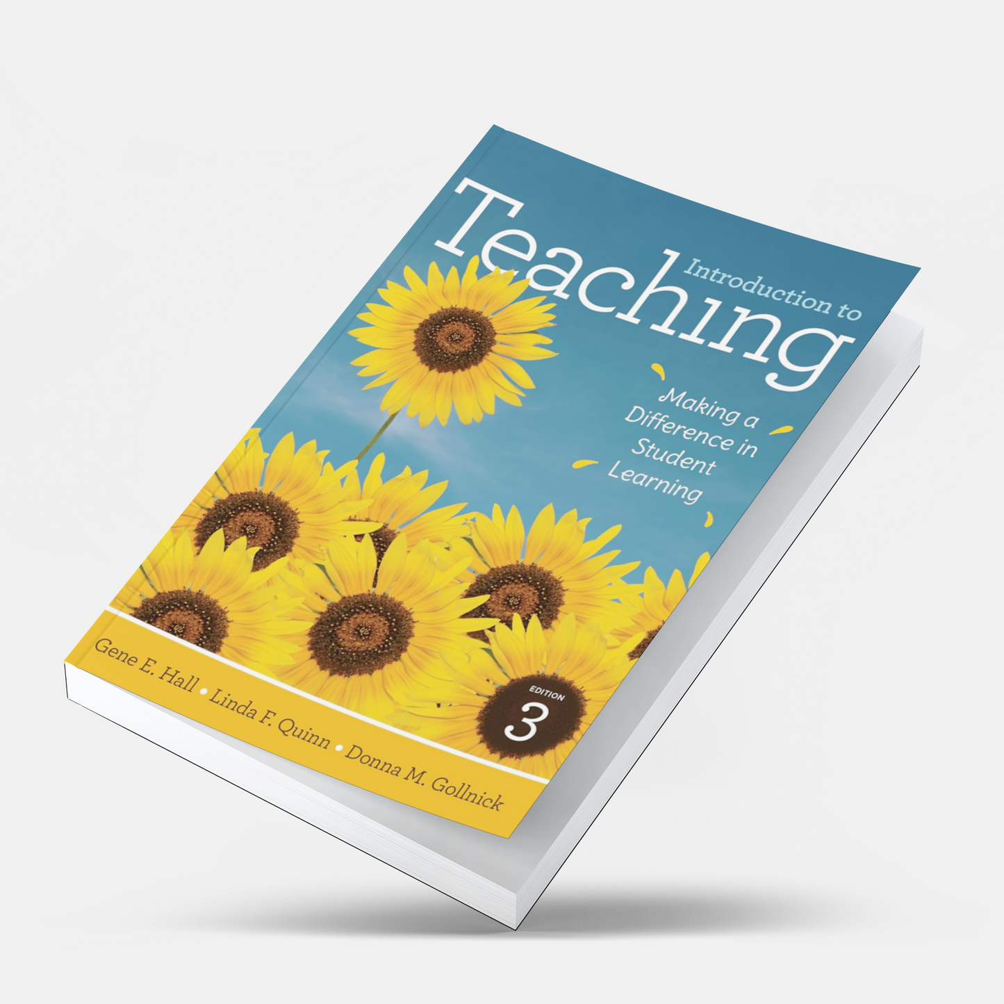 Introduction to Teaching: Making a Difference in Student Learning 3rd Edition