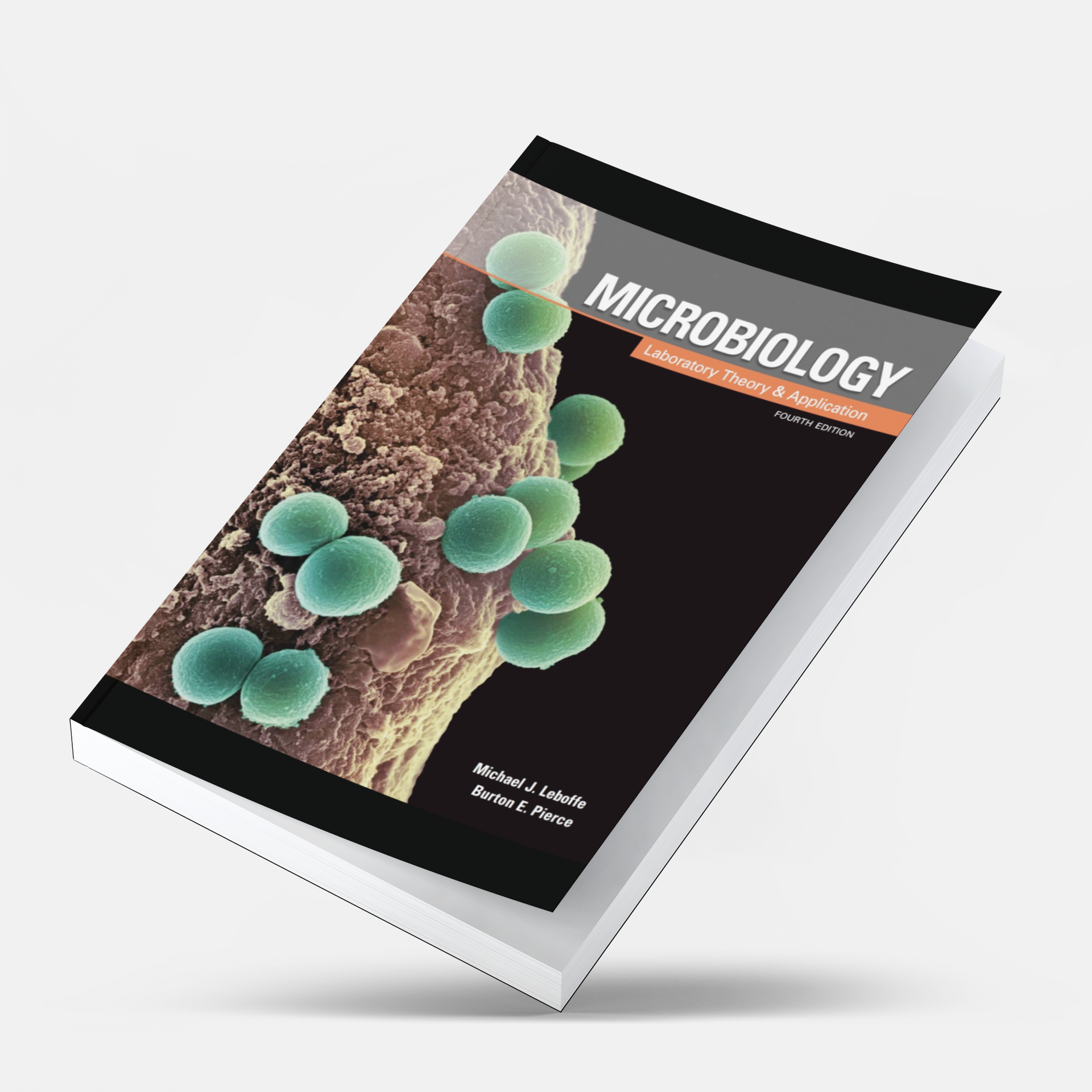 MICROBIOLOGY LABORATORY THEORY AND APPLICATION PDF visual data 2