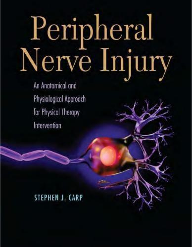 Peripheral Nerve Injury An Anatomical And Physiological Approach For Physical Therapy Intervention
