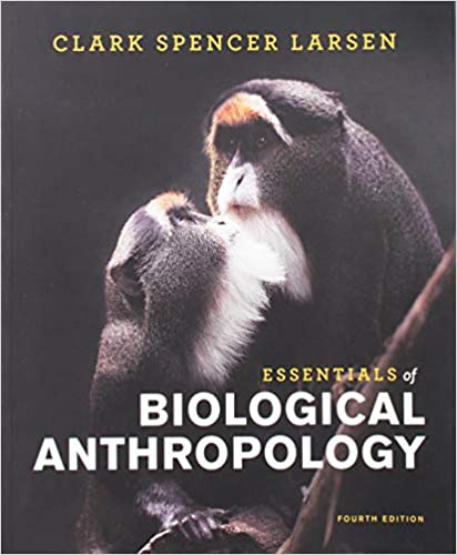 Essentials of Biological Anthropology by Clark Spencer Larsen