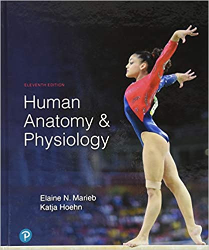 Human Anatomy and Physiology - 9780134580999