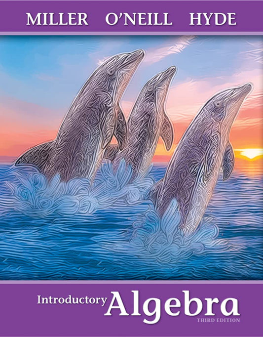 Introductory Algebra (Mathematics) 3rd Edition by Julie Miller