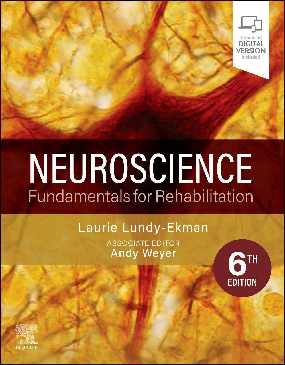 Neuroscience Fundamentals for Rehabilitation 6th Edition