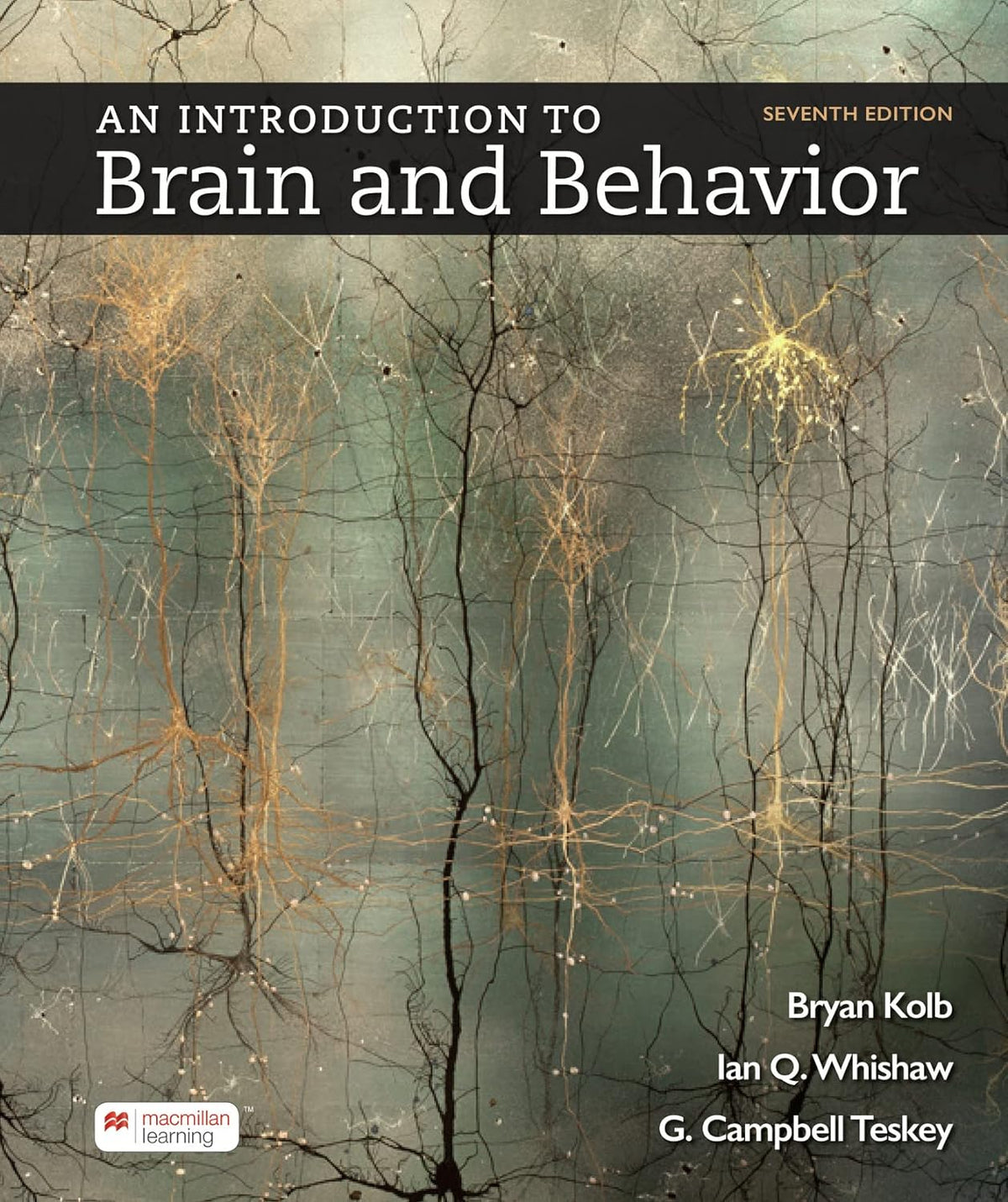 An Introduction to Brain and Behavior 7th Edition