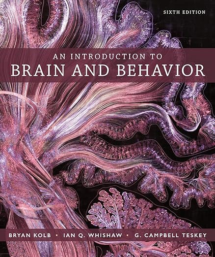 An Introduction to Brain and Behavior 6th Edition by Bryan Kolb