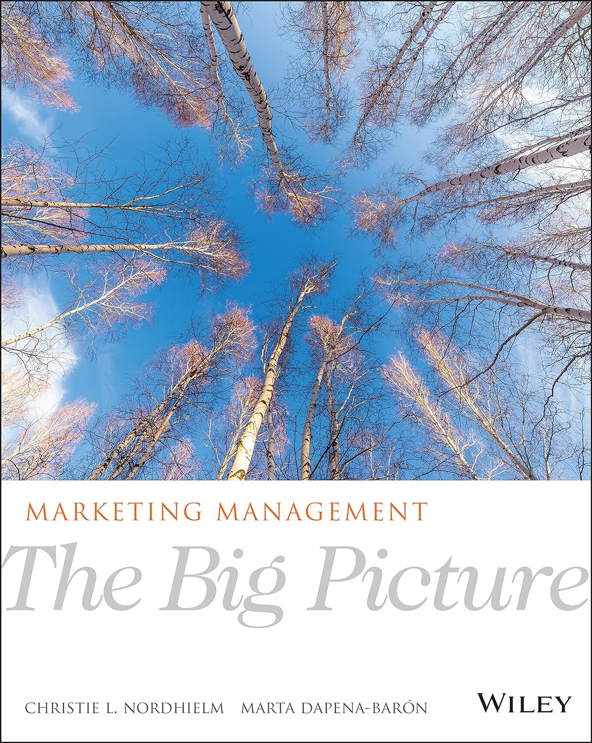 Marketing Management The Big Picture 1st Edition by Christie L. Nordhielm