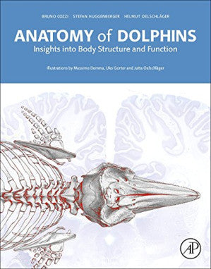 Anatomy of Dolphins. Insights Into Body Structure and Function