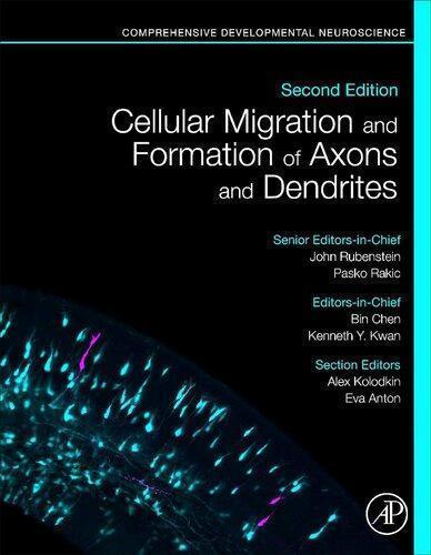 Cellular Migration And Formation Of Axons And Dendrites Comprehensive Developmental Neuroscience 2Nd Edition