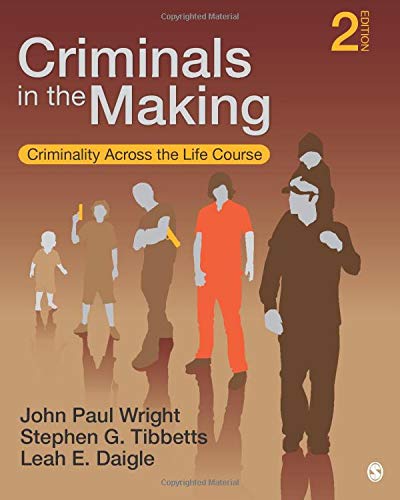 Criminals in the Making: Criminality Across the Life Course - 2nd Edition