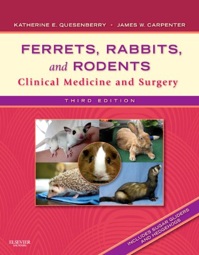Ferrets, Rabbits, and Rodents: Clinical Medicine and Surgery, 3rd Edition   - 3rd Edition