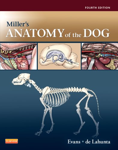Miller's Anatomy of the Dog - 4th Edition