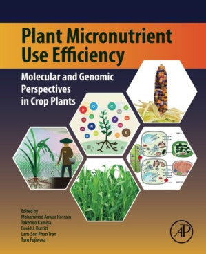 Plant Micronutrient Use Efficiency: Molecular and Genomic Perspectives in Crop Plants