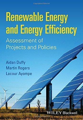 Renewable Energy And Energy Efficiency Assessment Of Projects And Policies