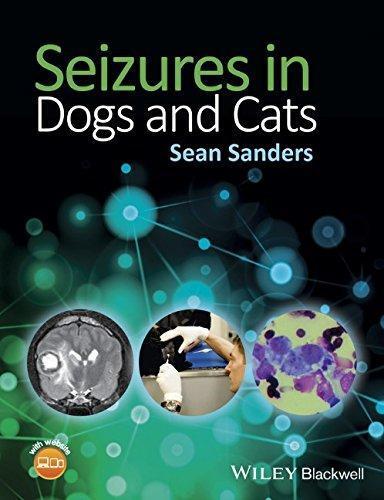 Seizures In Dogs And Cats