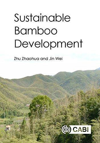 Sustainable Bamboo Development