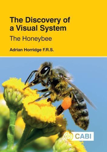 The Discovery Of A Visual System The Honeybee