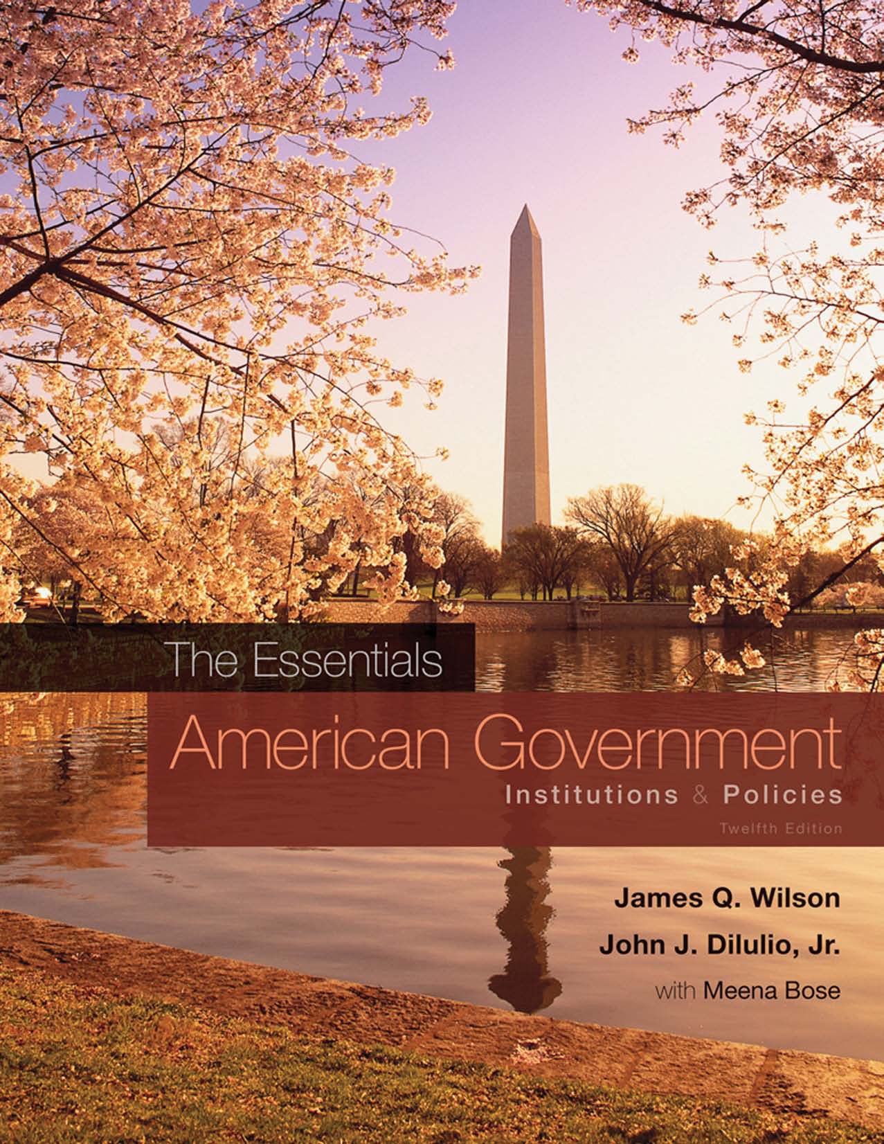 The Essentials Of American Government Institutions Policies 12Th Edition