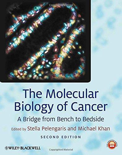 The Molecular Biology Of Cancer A Bridge From Bench To Bedside 2Nd Edition