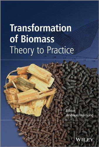 Transformation Of Biomass Theory To Practice