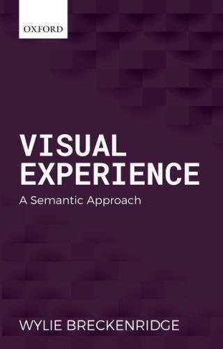 Visual Experience A Semantic Approach