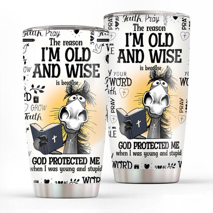 Christian Faith Gifts | Stainless Steel Tumbler | God protected me SSTNAHN1001A